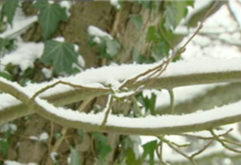 15/01/13 : Notre région sous la neige