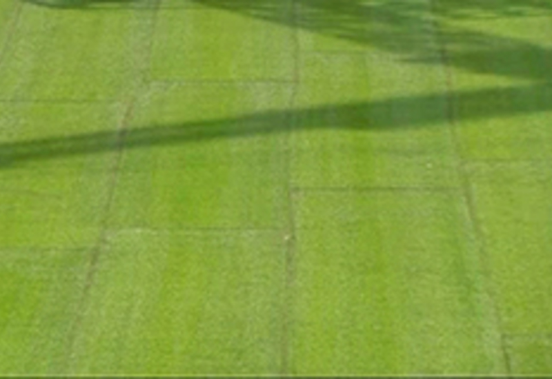 17/07/13 : L'herbe est plus verte
