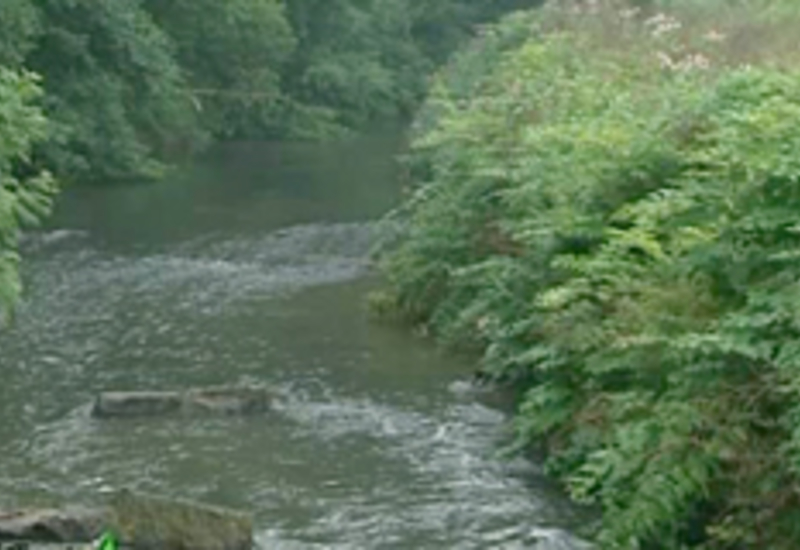 12/08/13 : Chemin de l'Eau d'Heure