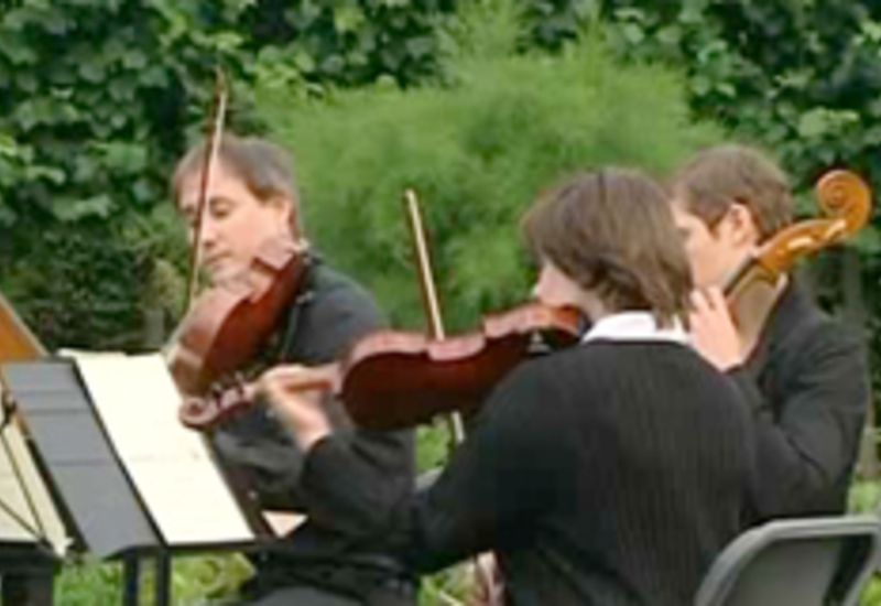 12/08/13 : Nuit Musicale de Seneffe