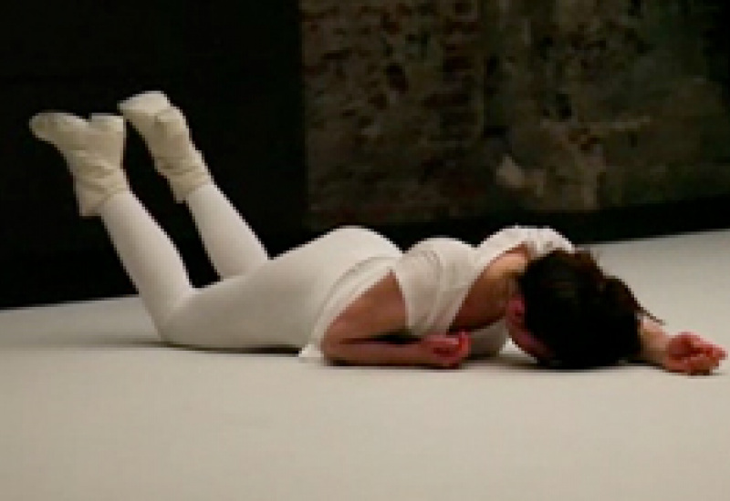 13/11/13 : Biennale de Charleroi-Danses