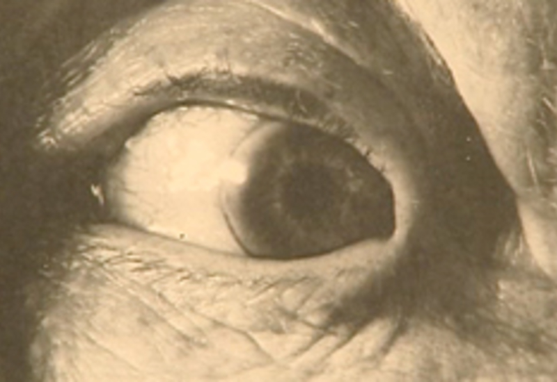 20/11/13 : Expos du Cercle Photographique