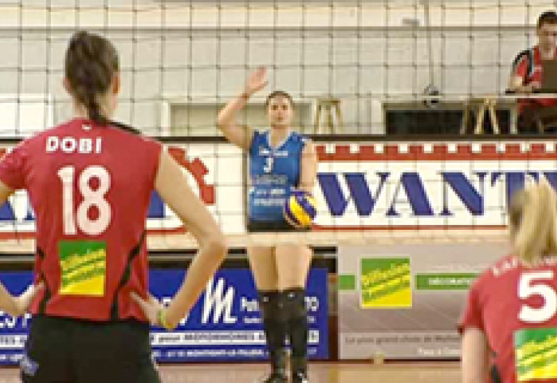 30/01/14 : Dauphines - Blaasveld