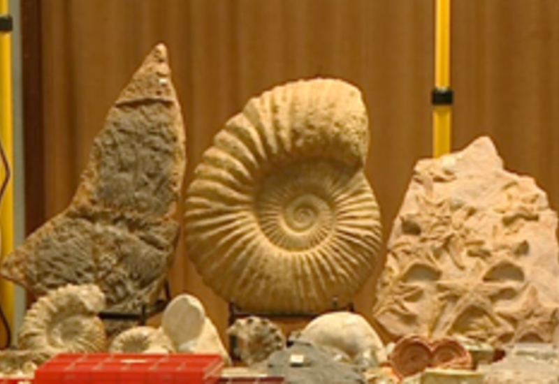 04/02/14 : Salon des minéraux et fossiles