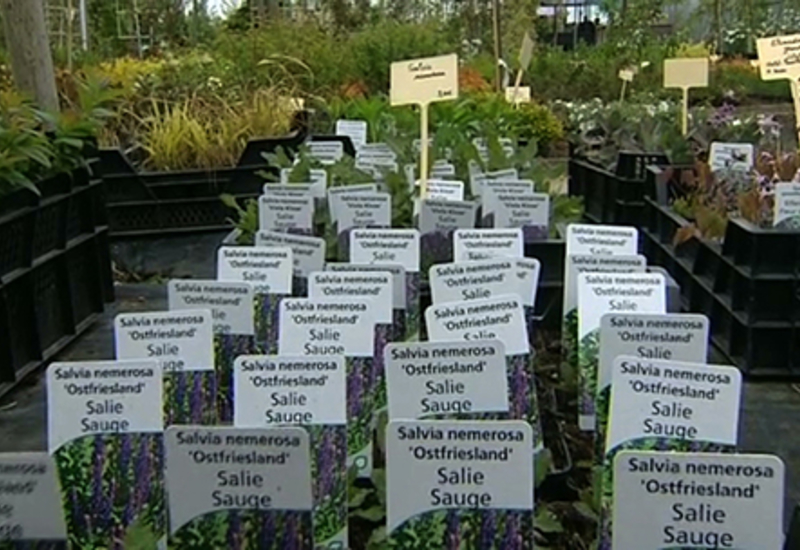 18/04/14 : 7ème horti-découverte