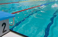 0 24/02/14 : Championnats francophones de natation