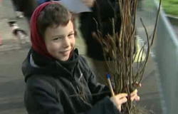 0 29/11/11 : Journée de l'arbre