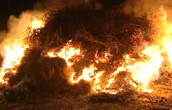 0 28/02/12 : Grand feu à Gozée