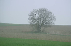 0 05/04/12 : Pas d'éoliennes au "Grand Fayi"