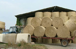 0 23/08/12 : Bilan agriculture