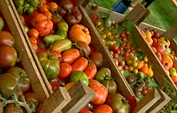 0 29/08/12 : Fête de la tomate à Auvelais