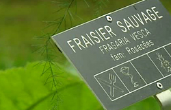 0 07/09/12 : Un jardin extraordinaire