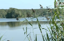0 18/09/12 : Fête de l'oiseau à Virelles