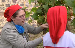 0 24/09/12 : Vendanges du "Clos des Zouaves"