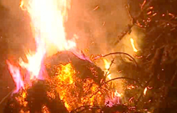0 20/02/13 : Grand feu à Gozée