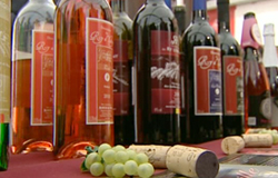 0 08/04/13 : Festival des vins wallons