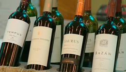 0 16/04/13 : Foire aux vins des Climbias