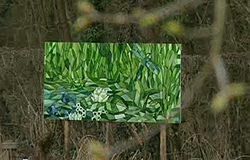 0 26/04/13 : Fête de Printemps à Bambois
