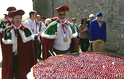 0 15/07/13 : Ducasse aux cerises