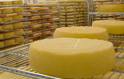 0 19/09/13 : Nouveau fromage Chimay Bleu