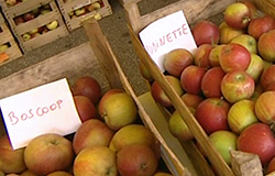 0 11/10/13 : La journée de la pomme