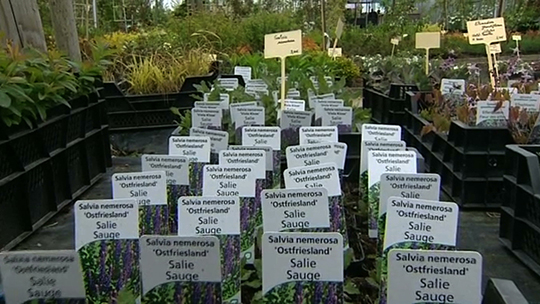 0 18/04/14 : 7ème horti-découverte